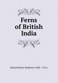 Ferns of British India