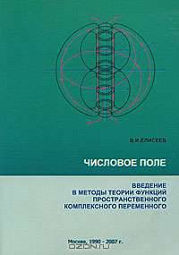 Числовое поле. Введение в методы теории функций пространственного комплексного переменного