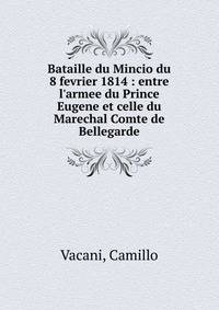 Bataille du Mincio du 8 fevrier 1814 : entre l'armee du Prince Eugene et celle du Marechal Comte de Bellegarde