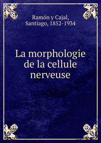 La morphologie de la cellule nerveuse