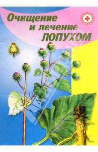 Очищение и лечение лопухом