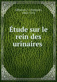Etude sur le rein des urinaires