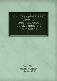 Escritos y opiniones en derecho constitucional, judicial, minero internacional. 2