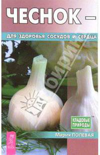 Чеснок для здоровья сосудов и сердца