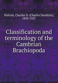 Classification and terminology of the Cambrian Brachiopoda