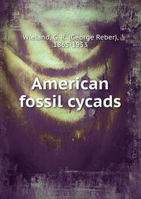 American fossil cycads