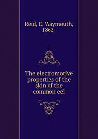 The electromotive properties of the skin of the common eel