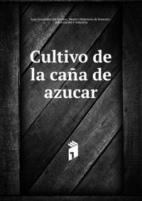 Cultivo de la cana de azucar