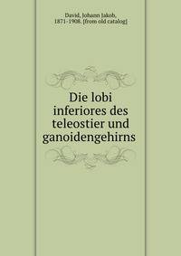 Die lobi inferiores des teleostier und ganoidengehirns