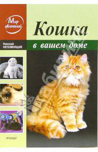 Кошка в вашем доме