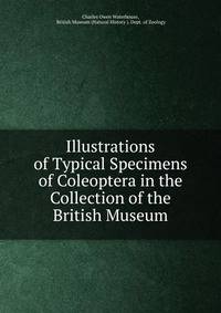 Illustrations of Typical Specimens of Coleoptera in the Collection of the British Museum
