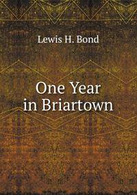 One Year in Briartown