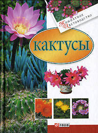 Кактусы - (Комнатное цветоводство)