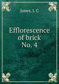 Efflorescence of brick. No. 4