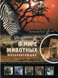 В мире животных. Млекопитающие