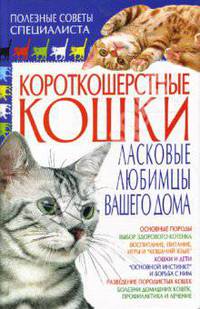 Короткошерстные кошки. Ласковые любимцы вашего дома - (Полезные советы специалиста)