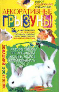 Декоративные грызуны - (Домашний зооуголок)