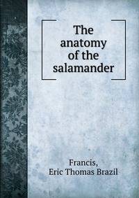 The anatomy of the salamander