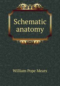 Schematic anatomy