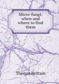 Micro-fungi: when and where to find them