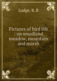 Pictures of bird life : on woodland meadow, mountain and marsh