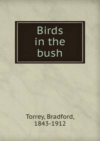 Birds in the bush