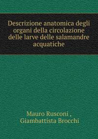 Descrizione anatomica degli organi della circolazione delle larve delle salamandre acquatiche