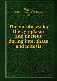 The mitotic cycle; the cytoplasm and nucleus during interphase and mitosis