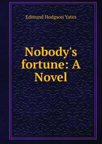 Nobody's fortune: A Novel