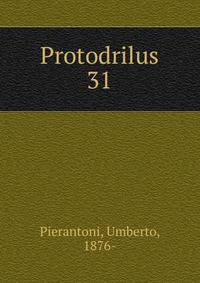 Protodrilus. 31
