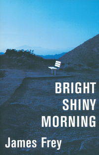 Bright Shiny Morning TPB