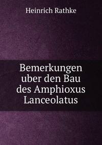Bemerkungen uber den Bau des Amphioxus Lanceolatus.