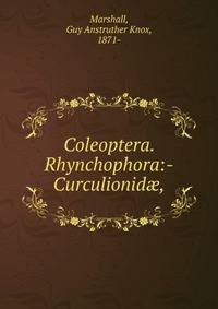 Coleoptera. Rhynchophora:-Curculionid?,