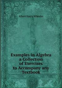 Examples in Algebra a Collection of Exercises to Accompany any Textbook