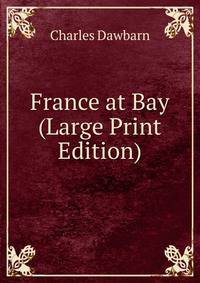 France at Bay (Large Print Edition)