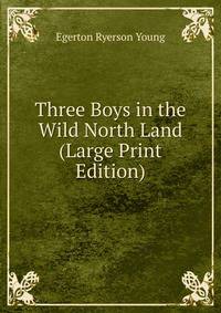 Three Boys in the Wild North Land (Large Print Edition)