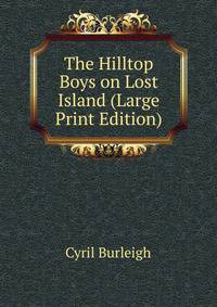 The Hilltop Boys on Lost Island (Large Print Edition)