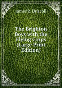 The Brighton Boys with the Flying Corps (Large Print Edition)