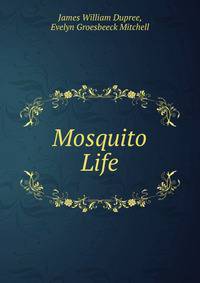 Mosquito Life