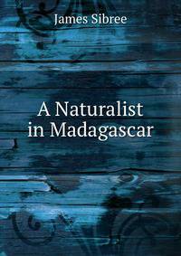 A Naturalist in Madagascar