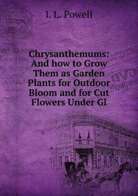 Chrysanthemums: And how to Grow Them as Garden Plants for Outdoor Bloom and for Cut Flowers Under Gl