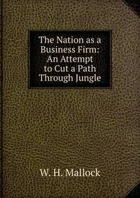 The Nation as a Business Firm: An Attempt to Cut a Path Through Jungle