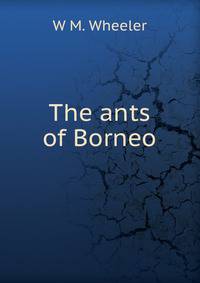 The ants of Borneo.
