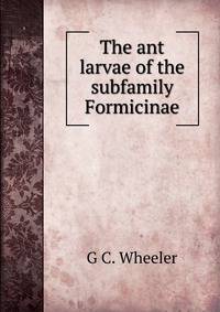 The ant larvae of the subfamily Formicinae.