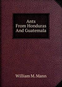 Ants From Honduras And Guatemala