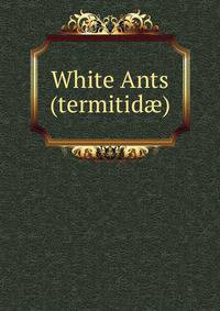 White Ants (termitid?)