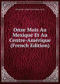 Onze Mois Au Mexique Et Au Centre-Amerique (French Edition)