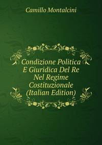 Condizione Politica E Giuridica Del Re Nel Regime Costituzionale (Italian Edition)