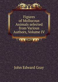 Figures of Mollucous Animals selected from Various Authors, Volume IV