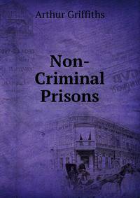 Non-Criminal Prisons